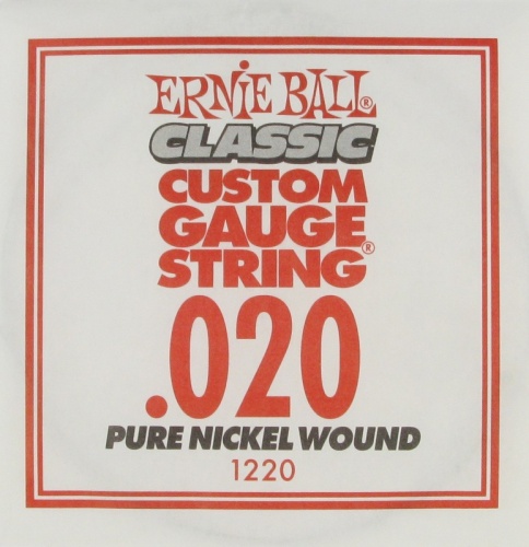 ERNIE BALL P01220