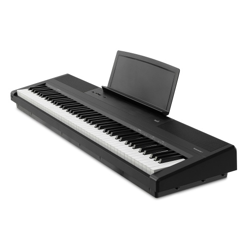 Emotive Hammerpiano 1 BK фото 2