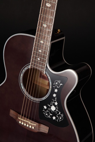 TAKAMINE GN75CE TBK фото 7